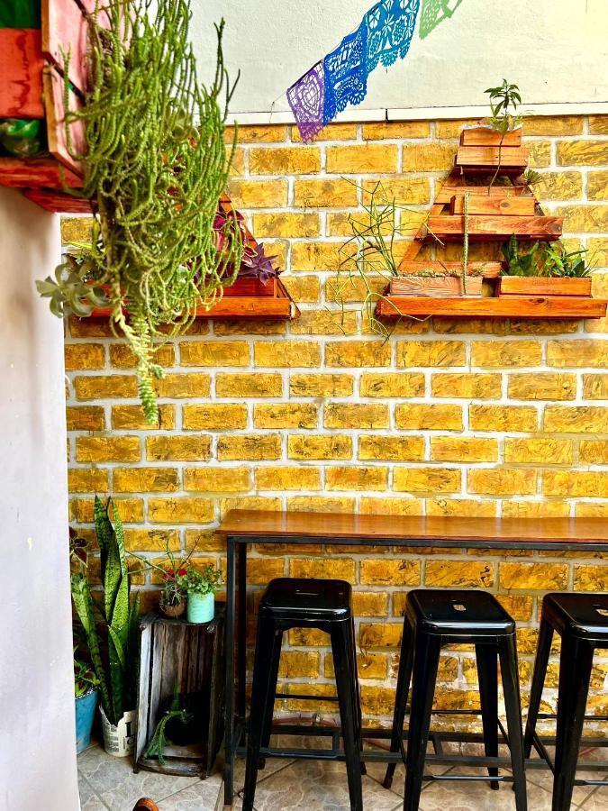 Chamos Hostel Cultural أرايال دو كابو المظهر الخارجي الصورة